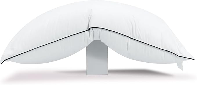 Hungarian Goose Down Pillow Queen Size, Ultimate Comfort 750+ Fill Power, 480 Thread Count 100% Cotton Shell, Luxury Bed Pillows for Sleeping - Queen (20" x 28")