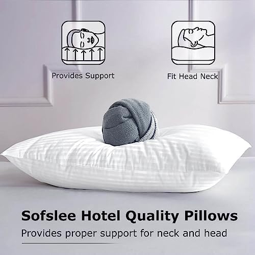 Pillows Queen Size Set of 2, Soft Bed Queen Pillows for Sleeping, Down Alternative Pillows 2 Pack for Back, Stomach or Side Sleepers, Fluffy Cooling Hotel Pillows, Machine Washable