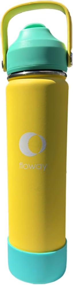 24oz Stainless Steel Vacuum Insulated Water Bottle with Straw Lid and Cleaning Brush, BPA Free, Leakproof, Temp Control, for Hot and Cold Drinks (Vibrant Lemon, 24oz)