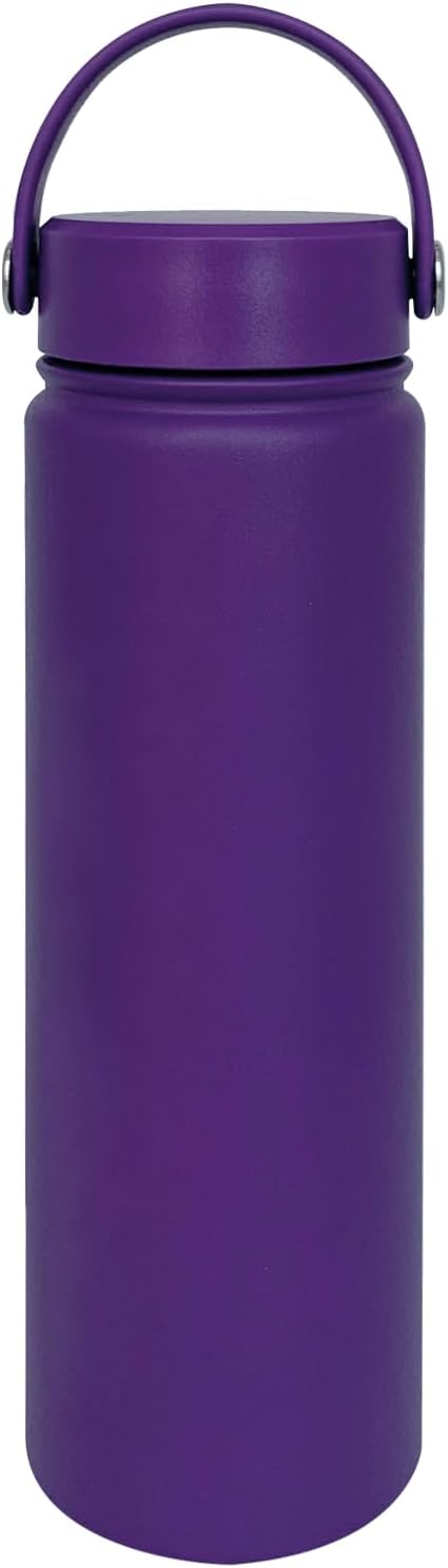 22oz Insulated Water Bottle ，Stainless Steel Sports Water Cup Flask with 2 Lids, Wide Mouth Travel Thermal Mug,Outdoor Sports Bottle（Purple）