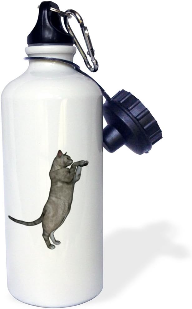 3dRose "Dancing Pretty Gray Cat" Sports Water Bottle, 21 oz, White