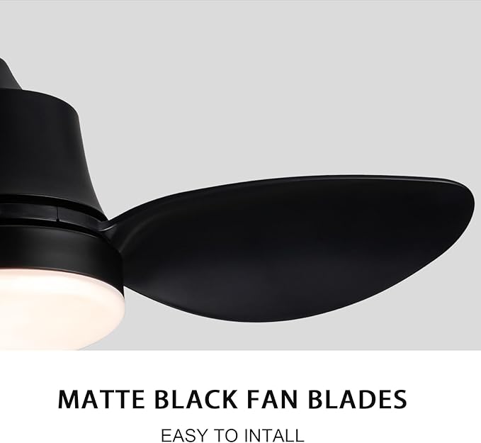 Black small Ceiling Fan with Light 24-Inch, Remote Control, 3-Color Dimmable, Reversible, 6-Speed - Ideal for Kitchen, Bedroom, Balcony, Study - Easy Installation