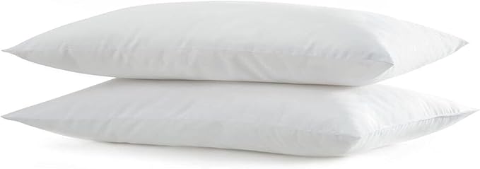 SILUI Ultra Thin Flat Soft Pillows Standard Size Set of 2 Pack Bed Pillow Down Alternative Fill for Side Back Stomach Sleepers, 20x26 Inches, White