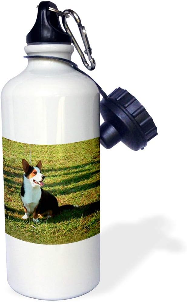 3dRose "Welsh Cardigan Corgi" Sports Water Bottle, 21 oz, White