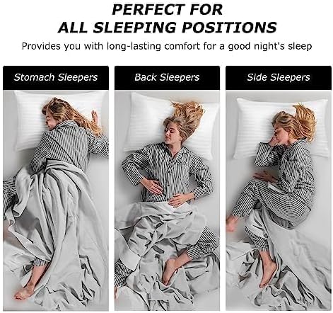 Pillows Queen Size Set of 2, Soft Bed Queen Pillows for Sleeping, Down Alternative Pillows 2 Pack for Back, Stomach or Side Sleepers, Fluffy Cooling Hotel Pillows, Machine Washable