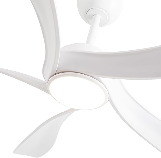 Fergus 5-Blade Lighted Ceiling Fan with LED Lamp with Remote
