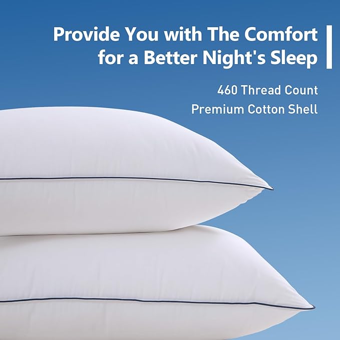 Goose Down Bed Pillow, King Size Bed Pillows for Sleeping, Ultra-Soft 750 Fill-Power Hotel Collection Pillow for Back, Stomach or Side Sleepers (20 * 36,Pack of 1)