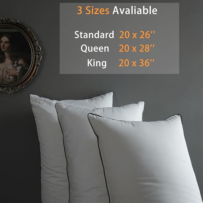 Luxury Hungarian White Goose Down Pillows Queen Size - 550 Fill Power - 460 Thread Count Cotton Blend Shell - Ultra Soft and Comfortable Sleep Pillows - 2 Pack (20" x 28")