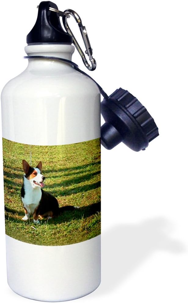 3dRose "Welsh Cardigan Corgi" Sports Water Bottle, 21 oz, White