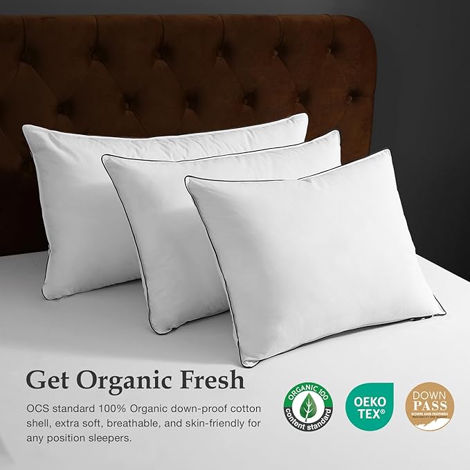 DWR Luxury Goose Feather Down Core Pillows Surrounded by Polyester - Set of 2 - Queen Size(20"x30") - Medium Firm - 100% Organic Cotton Cover