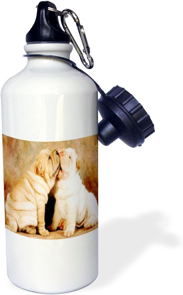 3dRose "Best Friends Shard Pei Puppies" Sports Water Bottle, 21 oz, White