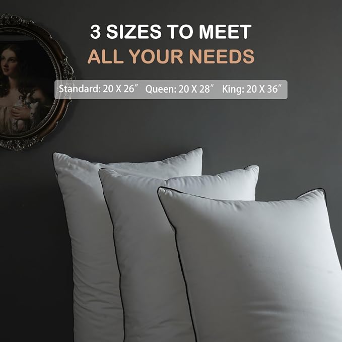 Luxury All Hungarian Goose Down Pillows Standard Size,Soft and Support Down Bed Pillow for Back,Side,Stomach Sleepers,480 Thread Count 100% Cotton Shell,Standard Size Soft Pillow 2 Pack 20"x26"