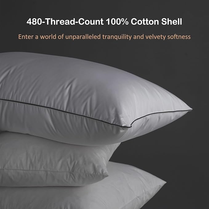 Luxury All Hungarian Goose Down Pillows Queen Size,Soft and Support Down Bed Pillow for Back,Side,Stomach Sleepers,480 Thread Count 100% Cotton Shell,Queen Size Soft Pillow 2 Pack 20"x28"