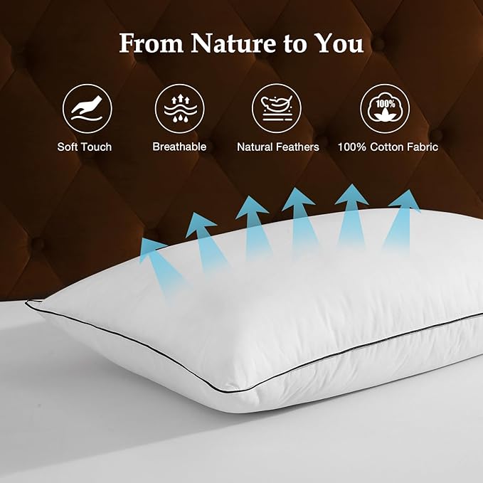 DWR Luxury Goose Feather Down Core Pillow Surrounded by Polyester - Set of 1 - Queen Size(20"x30") - Medium Firm - 100% Organic Cotton