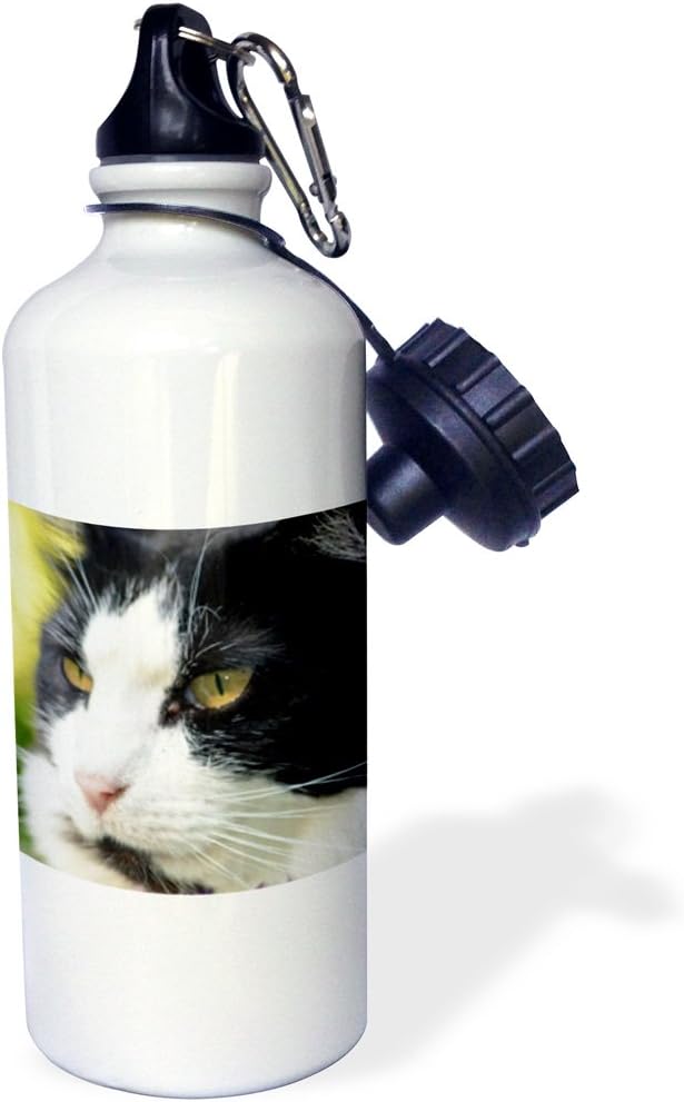 3dRose Profile of Black and White Cat Sports Water Bottle, 21 oz, Multicolored