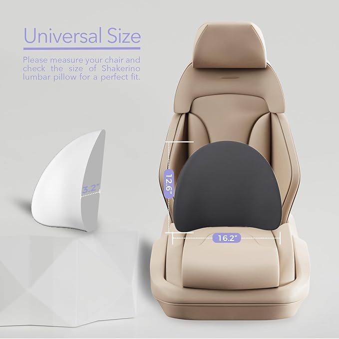 Lumbar Support Pillow for Office Chair - Ergonomic Memory Foam Back Support for Office Chair, Office Chair Back Support Cushion for Back Pain, Ideal Back Support Pillow for Car & Office, Black