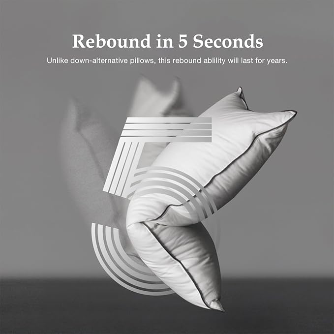 DWR Luxury Goose Feather Down Core Pillow Surrounded by Polyester - Set of 1 - Queen Size(20"x30") - Medium Firm - 100% Organic Cotton