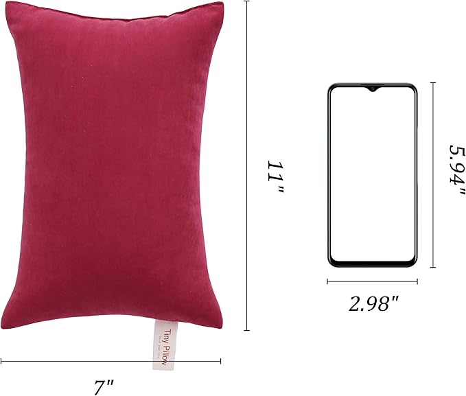 BEDSUM 2 Pack Tiny Pillows, 11"x7" Microfiber Mini Pillows for Travel, Dogs, Cats, Soft and Machine Washable Small Pillows for Neck, Wrist, and Knee Comfort, Red