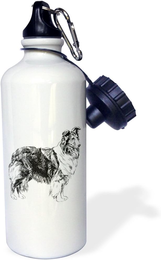 3dRose "Vintage Sketch Of A Collie Dog" Sports Water Bottle, 21 oz, White