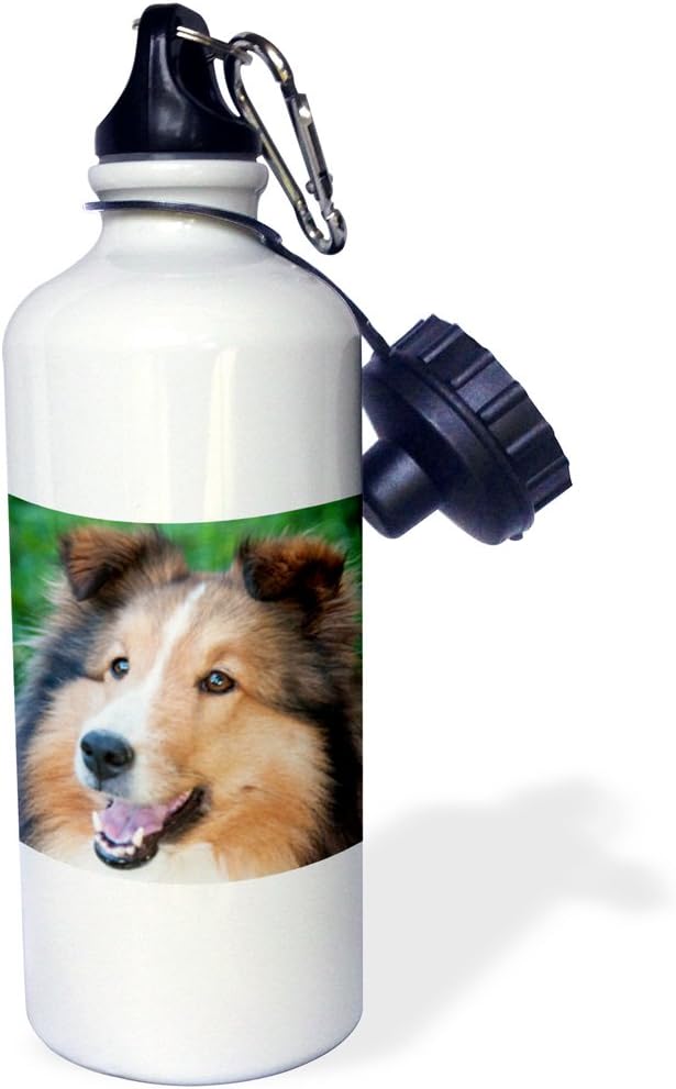 3dRose Collie Smiling-Sports Water Bottle, 21oz , 21 oz, Multicolor
