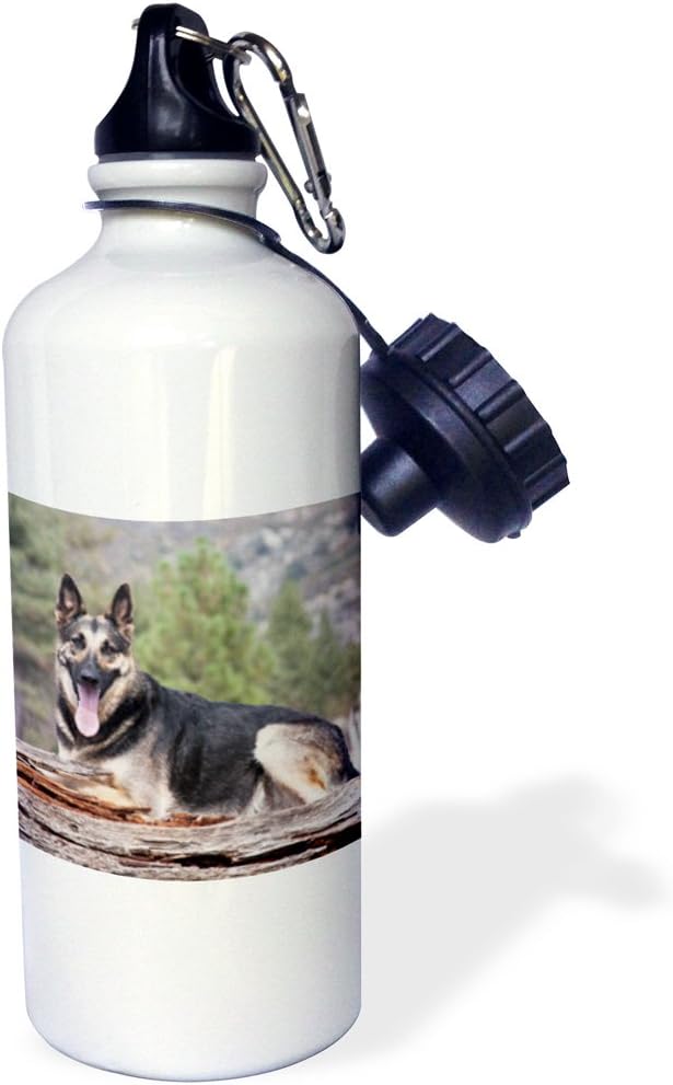 3dRose "A German Shepherd dog NA02 ZMU0185 Zandria Muench Beraldo" Sports Water Bottle, 21 oz, White