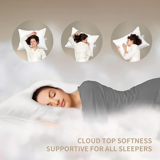 Natural Goose Down Pillows: Luxury Hotel Bed Pillow with 750 Fill Power, White Goose Down Sleeping Pillow with Pillowcase, Soft Pillow for Back, Side, Stomach Sleepers - 1 Pack, Queen (20" x 30")