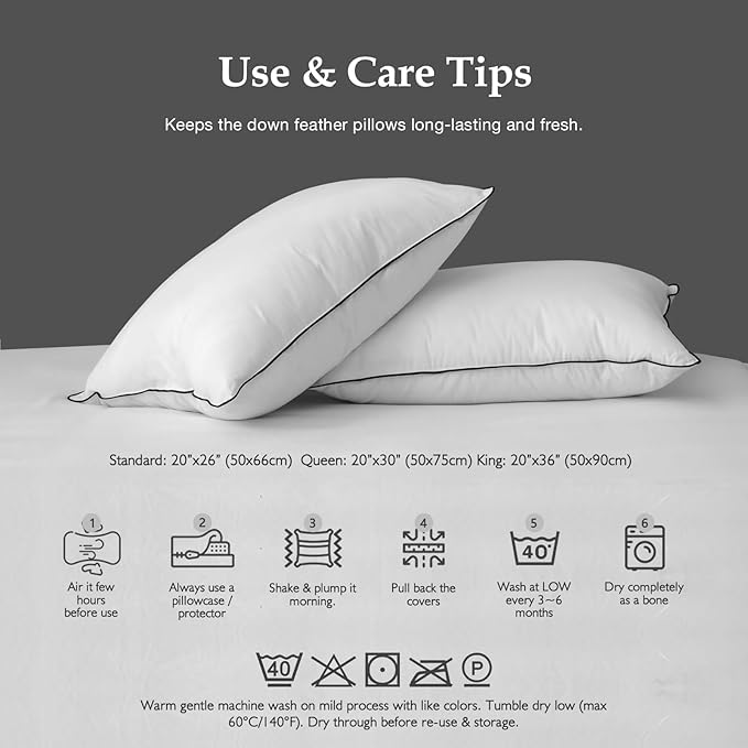 DWR Luxury Goose Feather Down Core Pillow Surrounded by Polyester - Set of 1 - Queen Size(20"x30") - Medium Firm - 100% Organic Cotton