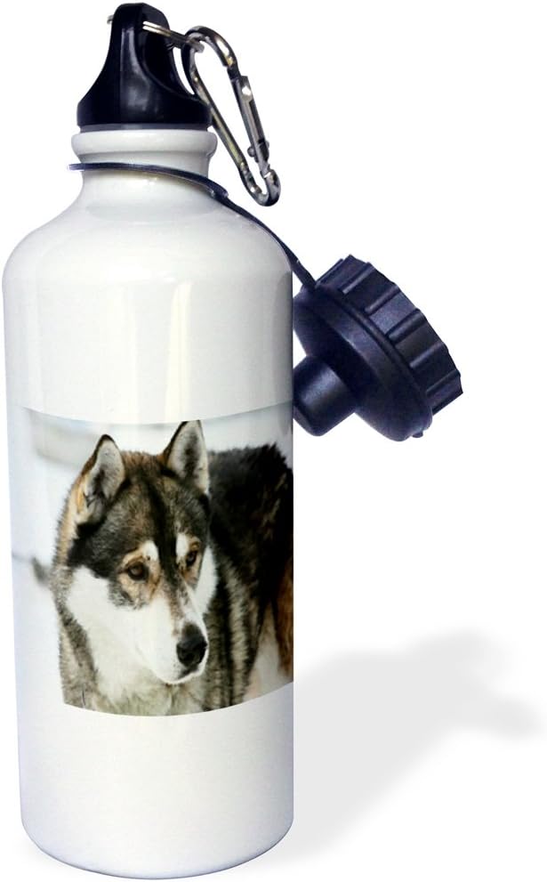 3dRose Print of Husky Painting Sports Water Bottle, 21 oz, Multicolor