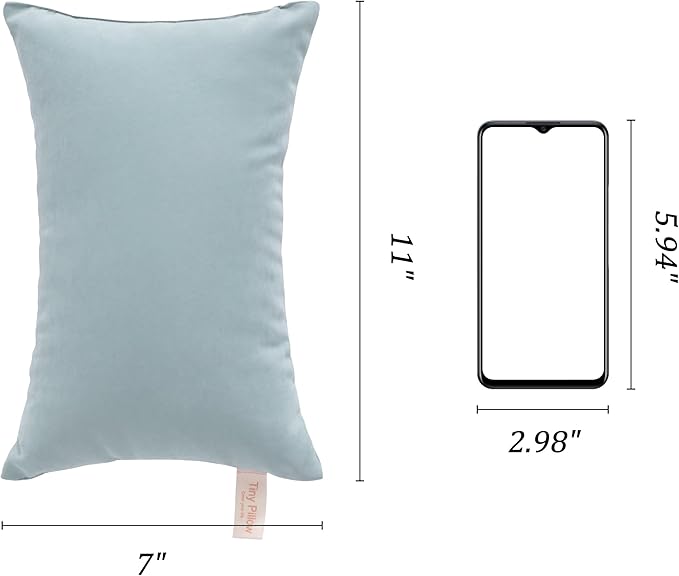 BEDSUM 2 Pack Tiny Pillows, 11"x7" Microfiber Mini Pillows for Toddler, Travel, Pets, Soft and Machine Washable Small Pillows for Neck, Wrist, and Knee Comfort, Sea Green