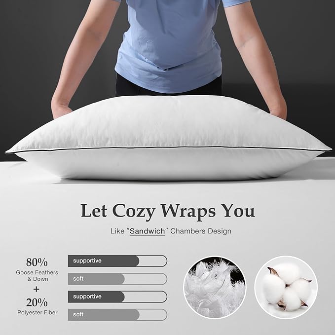 DWR Luxury Goose Feather Down Core Pillows Surrounded by Polyester - Set of 2 - Queen Size(20"x30") - Medium Firm - 100% Organic Cotton Cover