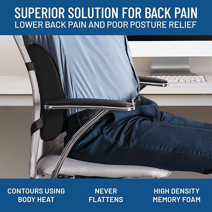 Everlasting Comfort Lumbar Support Pillow for Office Chair - Memory Foam Back Cushion for Chair, Car, Couch - Lumbar Pillow Promotes Better Posture, Back Pain Relief - Ideal for Gaming and Desk Chairs