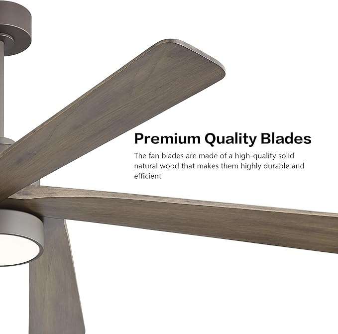 WINGBO 54 Inch DC Ceiling Fan with Lights and Remote Control, 5 Reversible Carved Wood Blades, 6-Speed Noiseless DC Motor, Modern Ceiling Fan in Graphite Finish with Gray Blades, ETL Listed