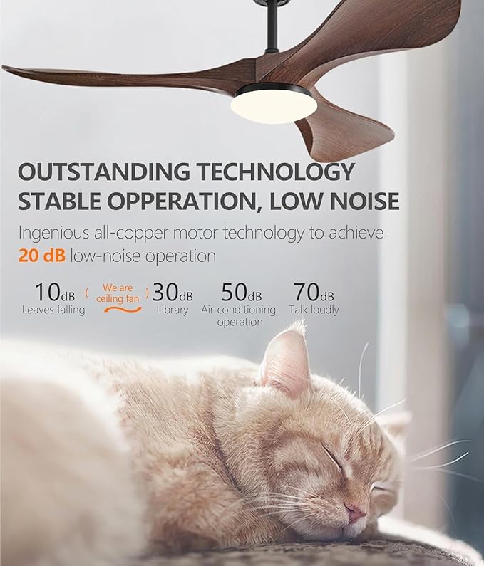 60 Inch Super Wide Blade Ceiling Fan with Light and Remote,Outdoor/Indoor Ceiling Fan with 3 Blades Noiseless Reversible DC Motor 6 Speeds with 3 Color Temperature and Timer for living room Patios