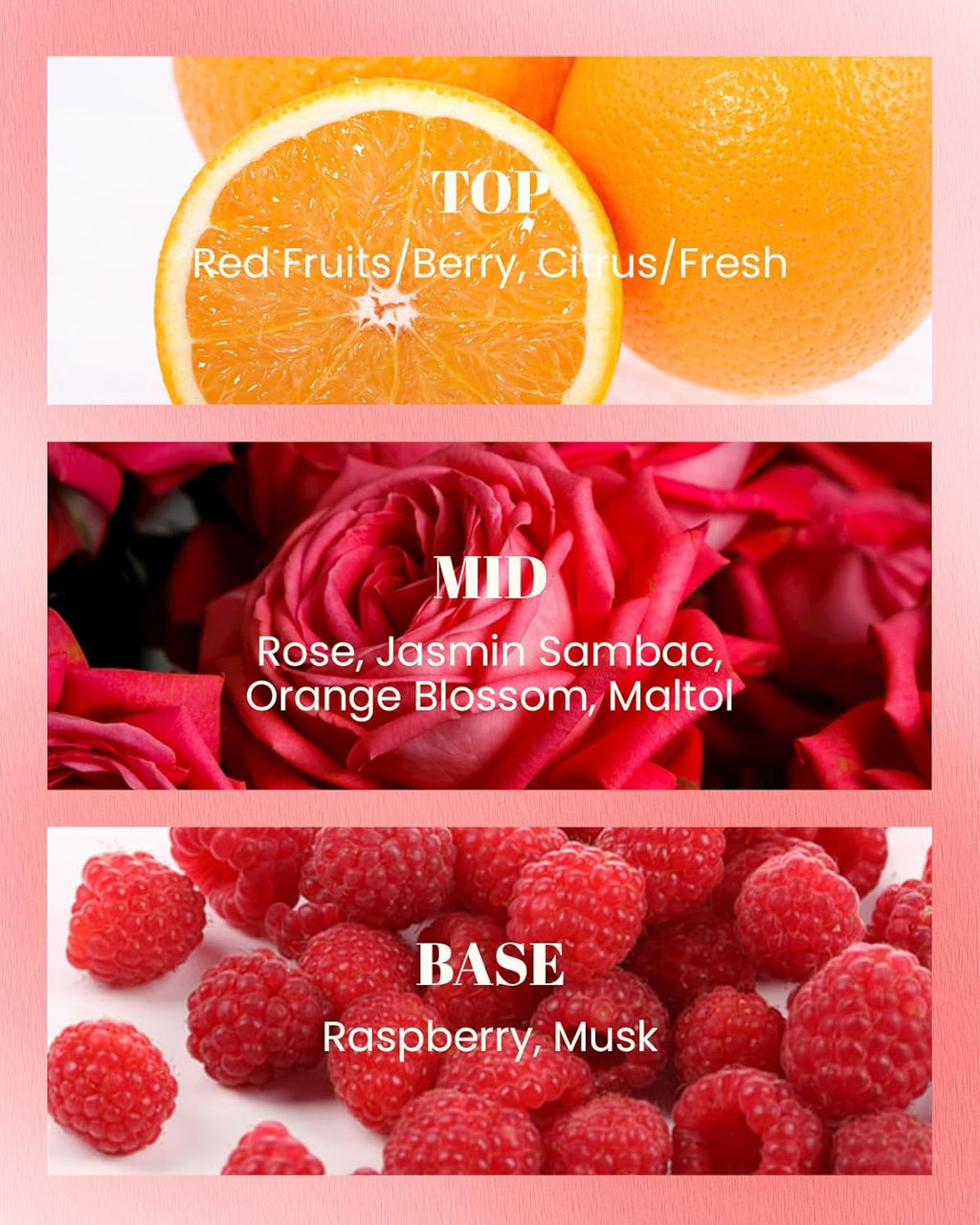 M&SENSE Citrus Floral Scented Soy Candles, Naturally Scented Vegan Soy Candle, 10oz 42-Hour Long Last Burning Time, No Toxin Bathtub Relaxing Stress Relief Home Fragrance for Women and Man