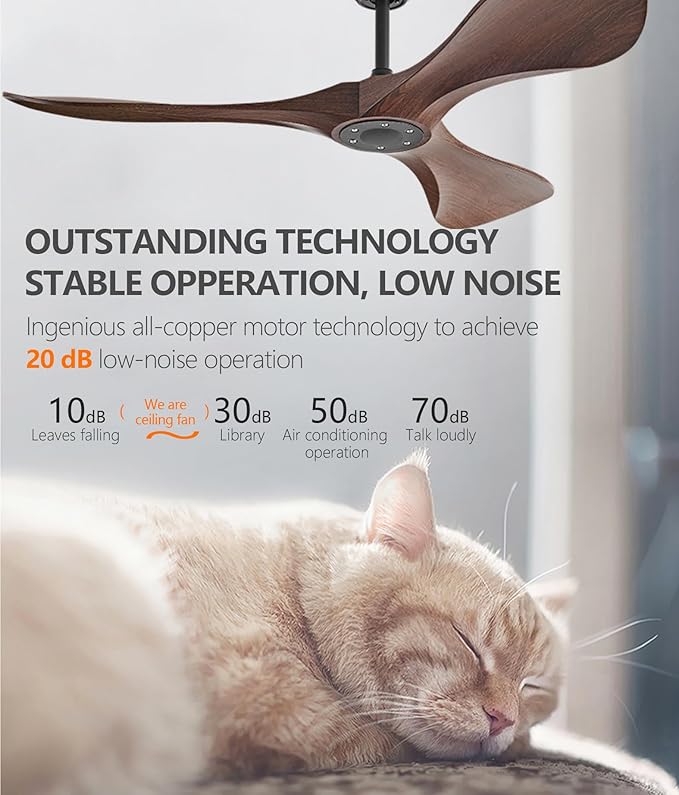 60 Inch Ceiling Fan with Remote,Ceiling Fan no light for Indoor/Outdoor,6 Speed Noiseless Reversible DC Motor,Easy to Install Modern Ceiling Fan with Timer for Living Room Bedroom Farmhouse,Patios