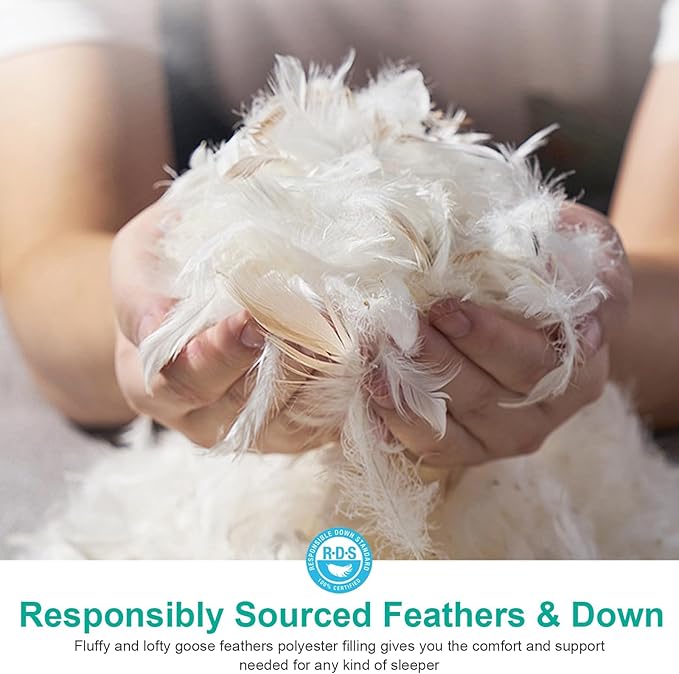 APSMILE Medium Firm Feather Down Pillows Queen Size Pack of 1, Luxury Goose Feather Pillow for Sleeping, 600TC/DM Organic Cotton Cover Hotel Collection Bed Pillows (White, 20"x30")