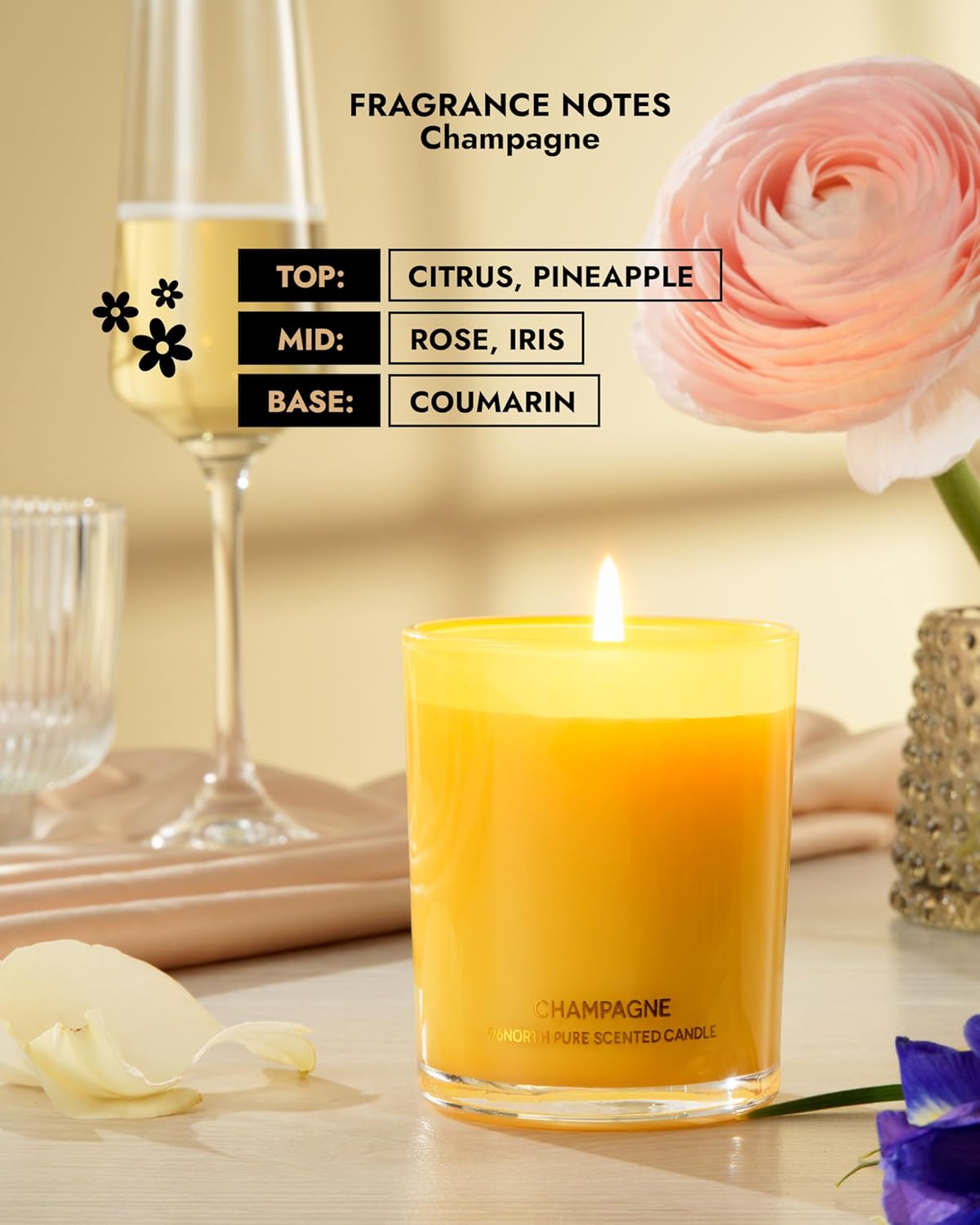 96NORTH | Pure Champagne Candle | 100% Natural Soy Wax | One Wick Jar Candle | Natural Fragrance Technology | Non Toxic | Up to 35 Hours Burning Time | Aromatherapy Gift for Men and Women
