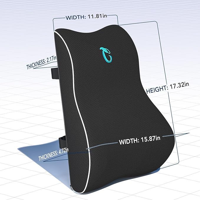 Lumbar Support Pillow for Office Chair, Memory Foam Cushion with Updated 3D Mesh Cover for Back Pain Relief, Ideal for Computer/Desk Chair, Car Seat, Gaming Chair, Recliner
