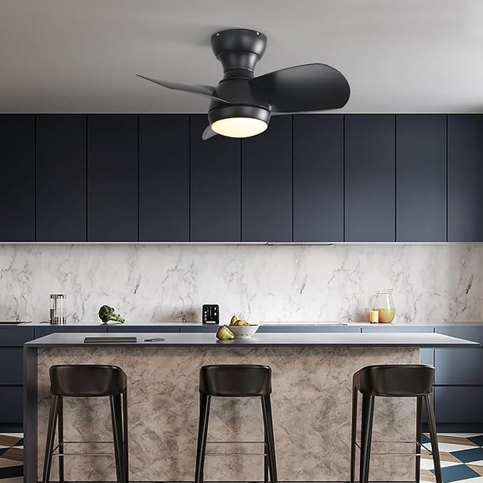 NicBex Ceiling Fan 23 Inch Ceiling Fan with Lights Ceiling Fans with 3 ABS Blades and Remote Control DC Motor Ceiling Fan with 3 Color Dimmable for Bedroom, Living Room, Black