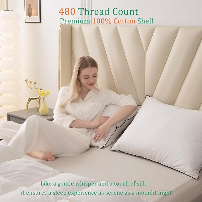 Luxury White Goose Down Pillows Standard Size - 750+ Fill Power - 500 Thread Count 100% Cotton Shell - Soft and Support Down Bed Pillow for Back, Side, Stomach Sleepers - 2 Pack(20 x 26”)