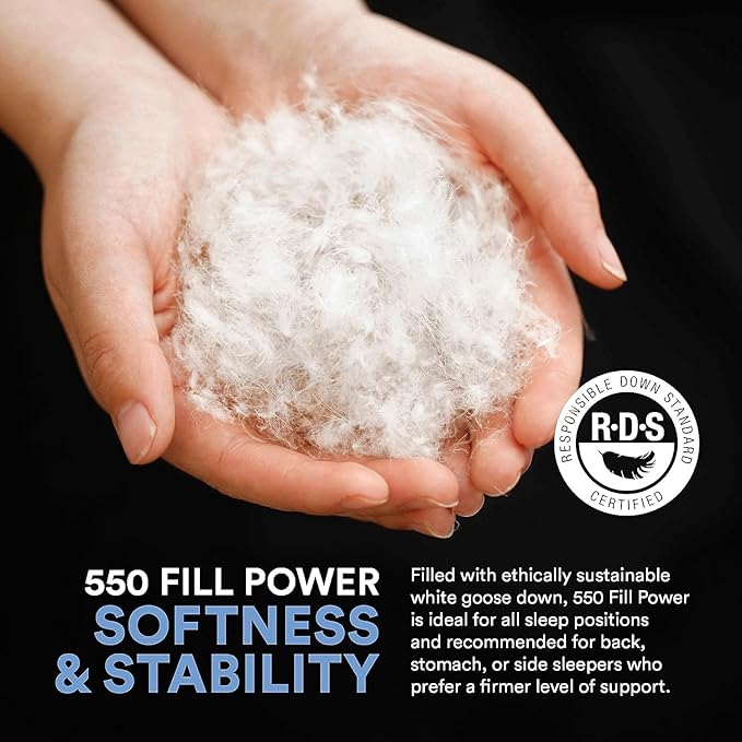 Continental Bedding P550medS2 Sleeping Bed Pillow, Standard (Pack of 2), White 2 Count