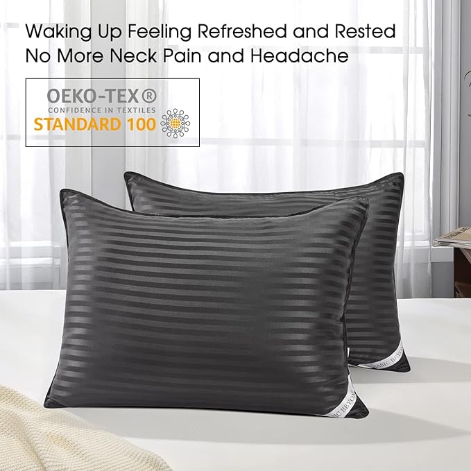 Basic Beyond Queen Size Pillows for Sleeping - Soft Down Alternative Pillows Luxury Hotel Collection Bed Pillows Queen Size Set of 2,Black,20x28 Inches