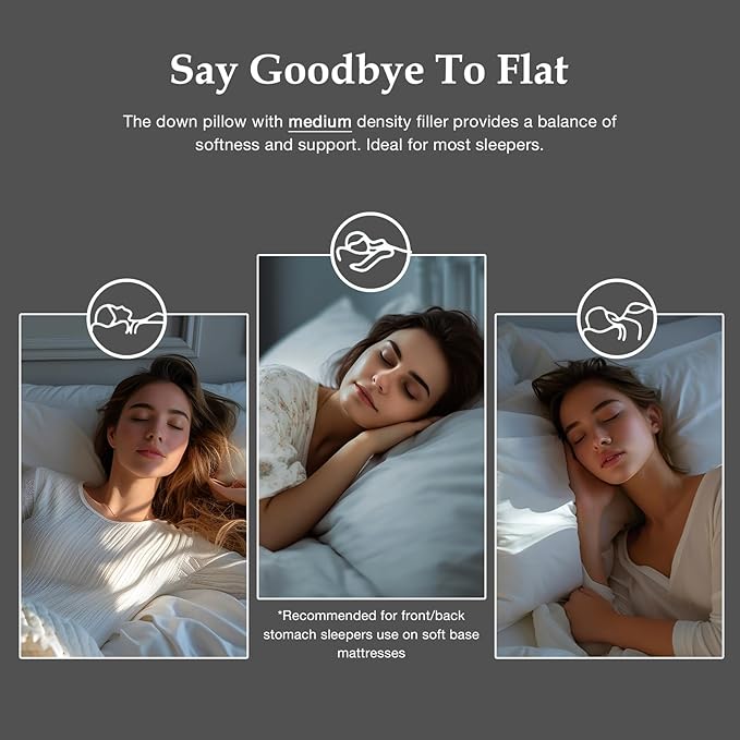 DWR Luxury Goose Feather Down Core Pillows Surrounded by Polyester - Set of 2 - Queen Size(20"x30") - Medium Firm - 100% Organic Cotton Cover