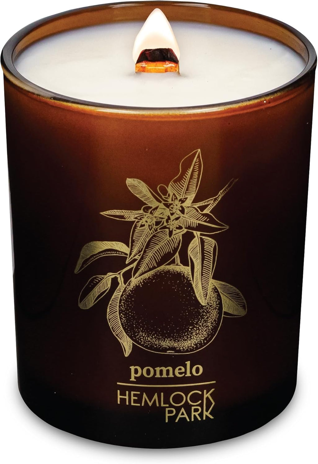 Hemlock Park Wood Wick Candle Handcrafted with Natural Coconut Wax and Essential Oils (Amber & Gold 7.2 oz, Pomelo Citrus)