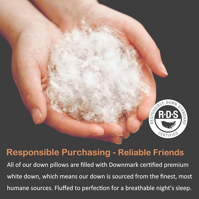 Luxury All Hungarian Goose Down Pillows King Size,Soft and Support Down Bed Pillow for Back,Side,Stomach Sleepers,480 Thread Count 100% Cotton Shell,King Size Soft Pillow 1 Pack 20"x36"