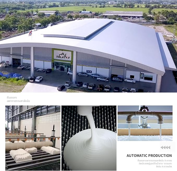 Talatex Talalay 100% Natural Premium Latex Pillow, Helps Relieve Pressure, No Memory Foam Chemicals, Perfect Package Best Gift with Removable Tencel Cover (Firm, Standard(24"×15.7"×4.9"))