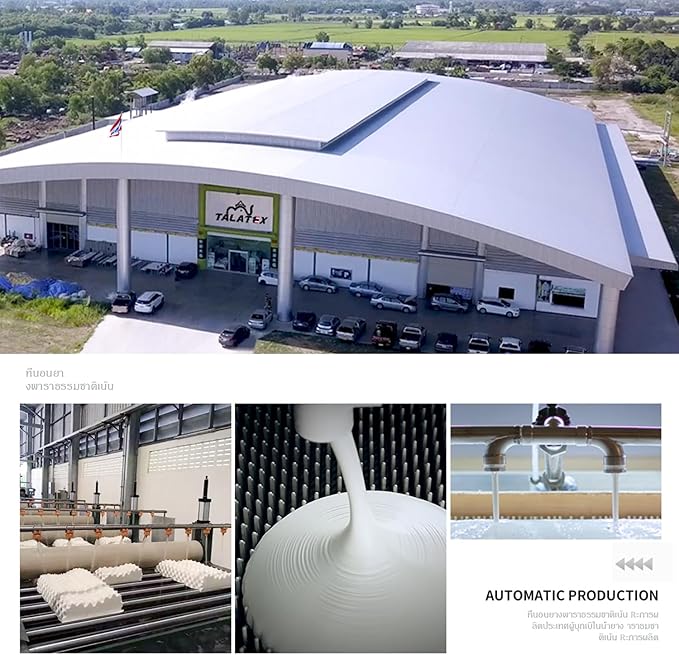 Talatex Talalay 100% Natural Premium Latex Pillow, Helps Relieve Pressure, No Memory Foam Chemicals, Perfect Package Best Gift with Removable Tencel Cover (Soft, Standard(24"×15.7"×4.9"))