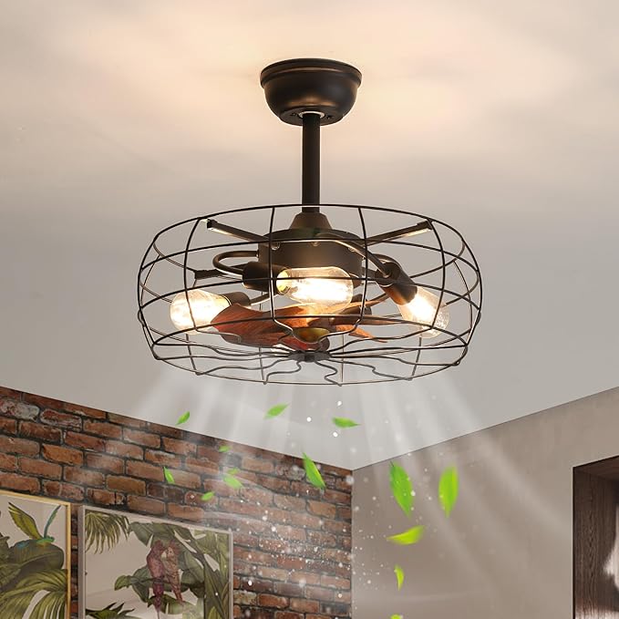 NicBex Ceiling Fan 20 Inch Ceiling Fans with Lights Caged Ceiling Fan with Blades and Remote Control Down Rod Mount Ceiling Fans for Bedroom, Living Room, Black
