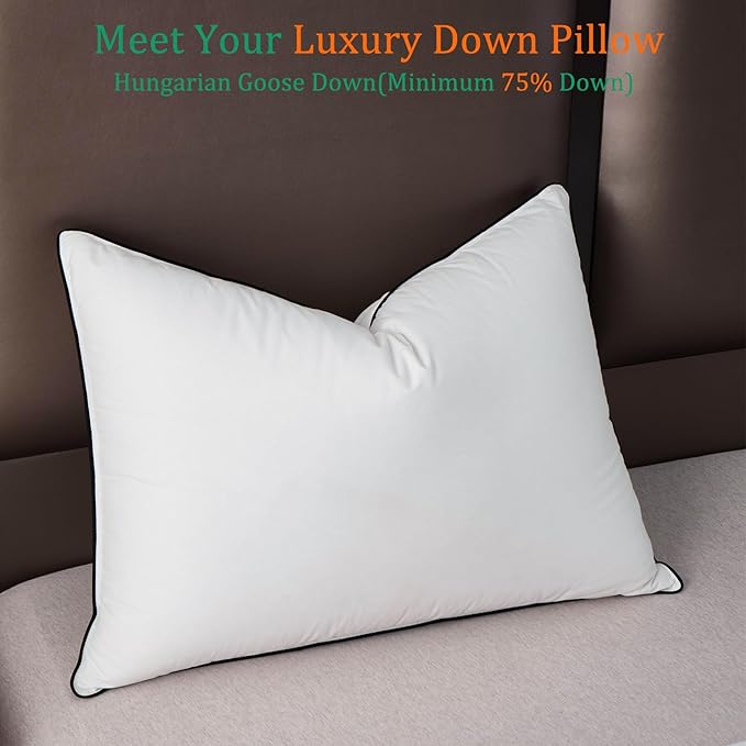 Luxury White Goose Down Pillows Queen Size - 750+ Fill Power - 500 Thread Count 100% Cotton Shell - Soft and Support Down Bed Pillow for Back, Side, Stomach Sleepers - 1 Pack (20 x 28”)