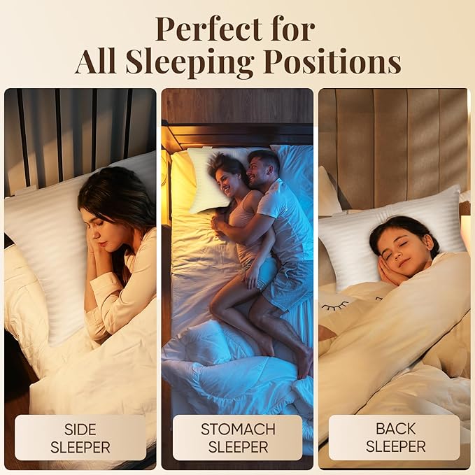 BP3 Bed Pillow, White Queen (Pack of 2), 2 Count